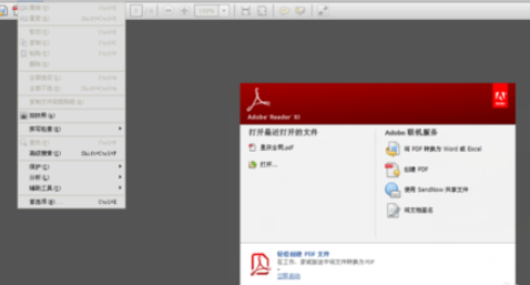 Adobe Reader XI(pdf)üסϴλõϸò
