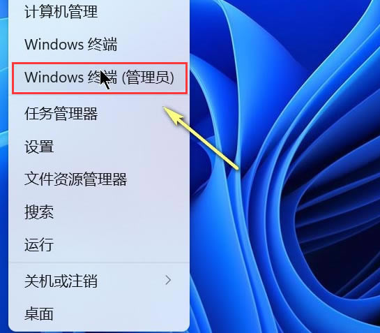 Windows11ôնĿ¼-նĿ¼ - վѶ