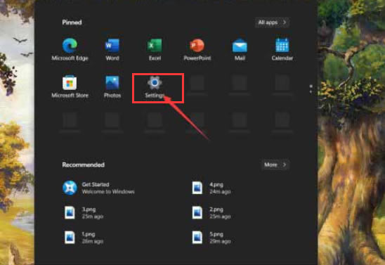 Windows11ͣ?Windows11ͣ¼