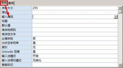 access单元格如何设置输入掩码格式？