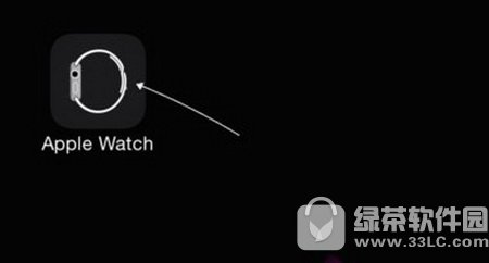 apple watchôֻ apple watchôֻ