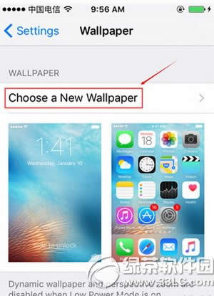 iphone seڼôO Oiphone seOñڼDĽ̳
