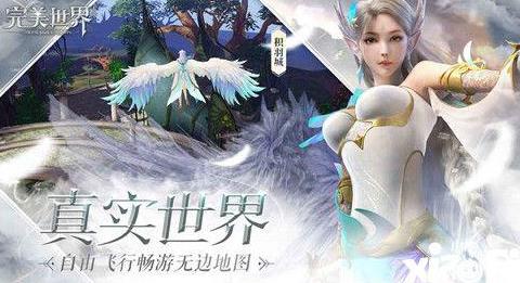 漼_漼ô