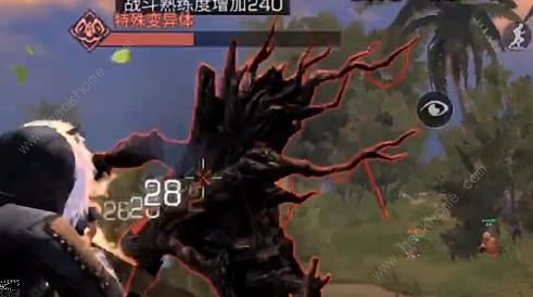 ֮ʥ˹BOSSԼ