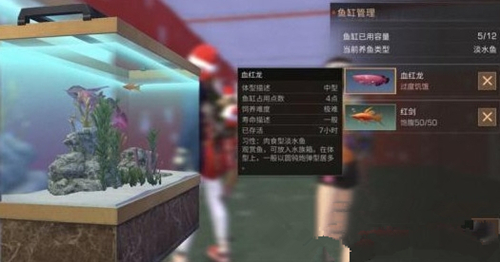 ֮ѪԶ_֮ѪԶʽ