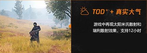CF12Сʱô