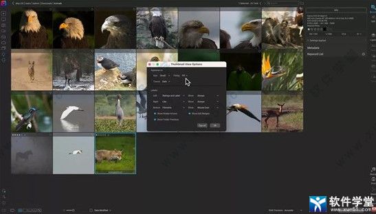 ON1 Photo RAW 2022¹_ON1 Photo RAW 2022