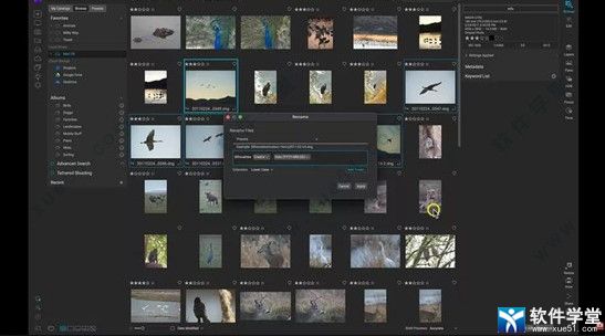ON1 Photo RAW 2022¹_ON1 Photo RAW 2022