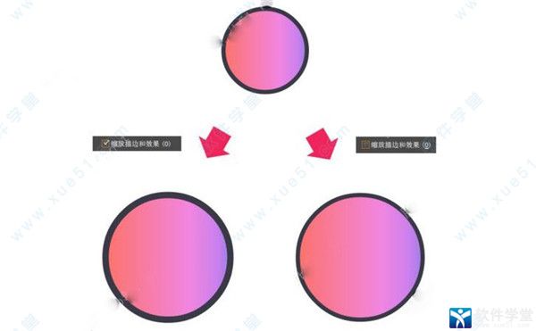 Adobe Illustrator 2020ʹü_Adobe Illustrator 2020Ž̳