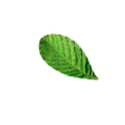 Ҷز