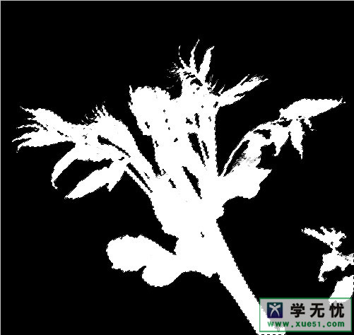 ͨѡ