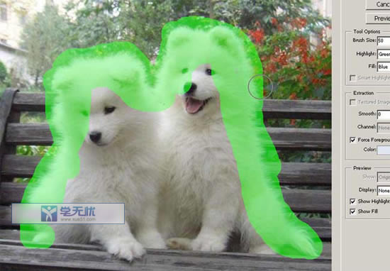 ͿĨ