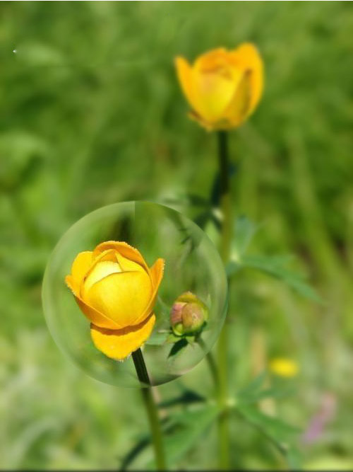 ˹ģ