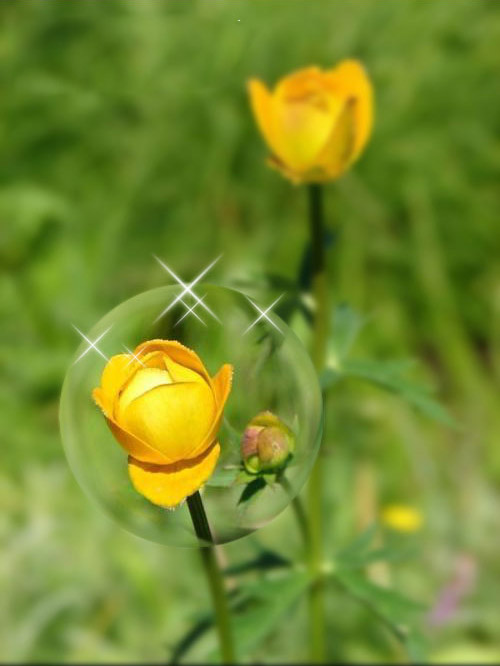 ǹЧ