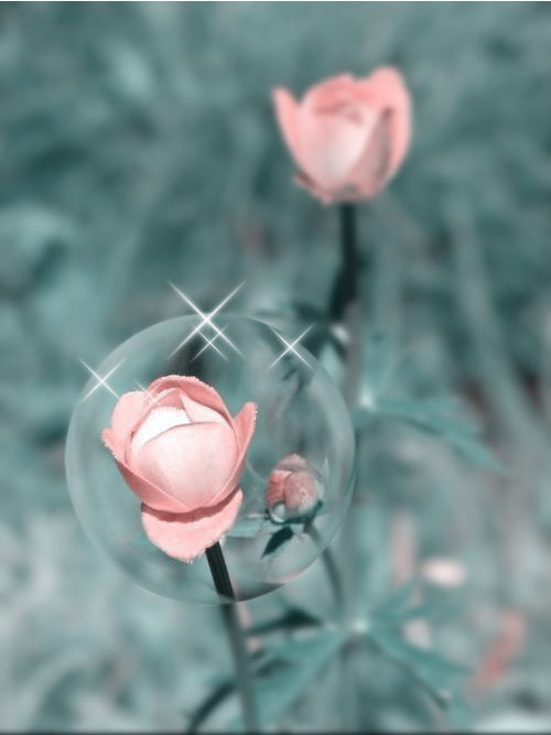 Ч