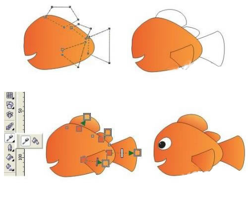 β