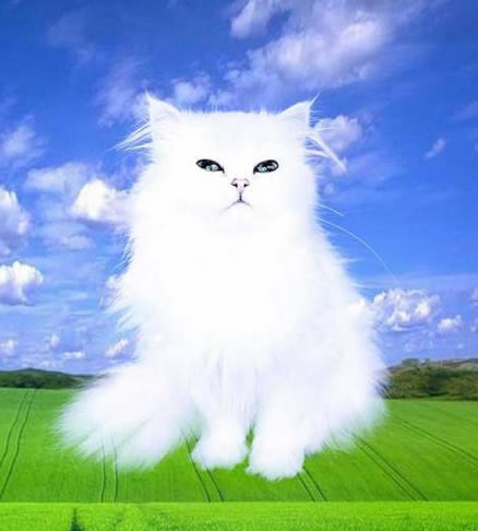 PSͼ_Photoshopͼ
