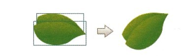 ͼ