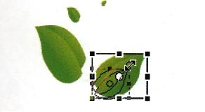 Ҷ״