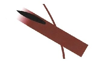 ͳ䶯