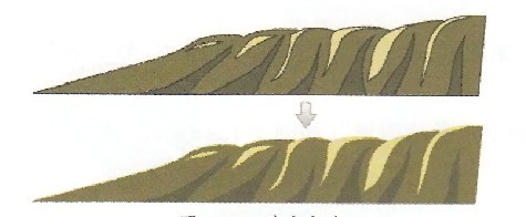 ɫ