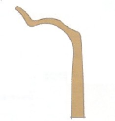 ɫ