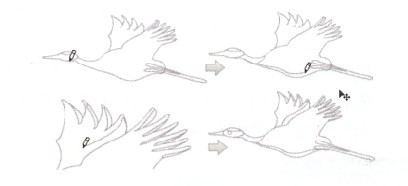 Ʒָ