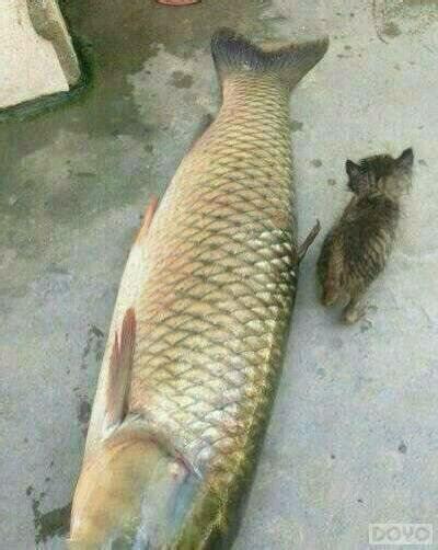 նħҸЦŸǮô!_վ