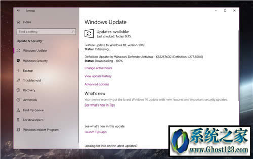 Windows UpdateпWin10 1809¸