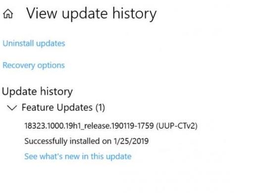 Windows 10 19H1ѽ빫֧ 4½ڶ