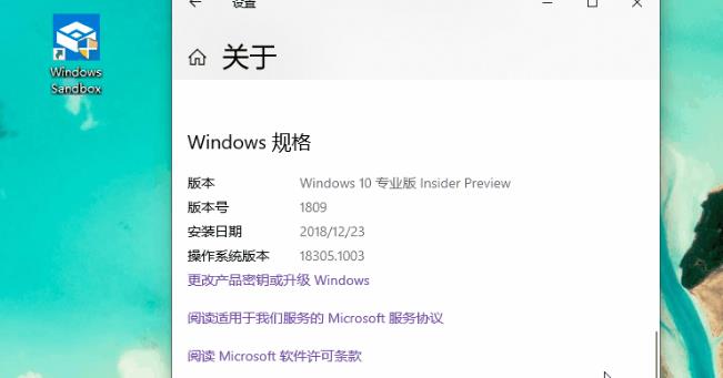 Windows 10 19H1 Build 18305.1003ɳ޷