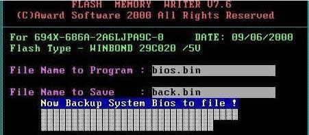 bios