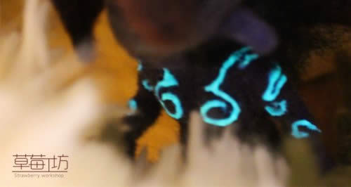 ħFֹ_ëֵk؈D
