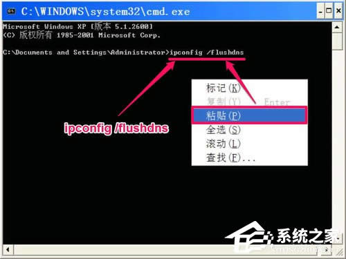 WinXP޷DNSô