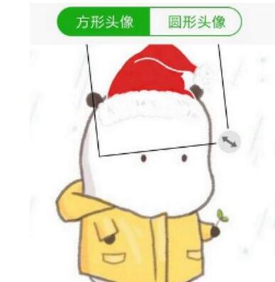2019΢ͷʥñ_2019΢ͷʥñð취