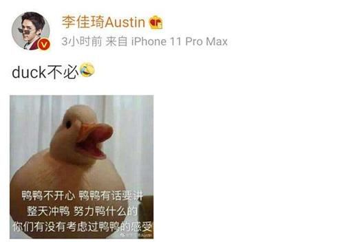 duckɶ˼_duckعĳ